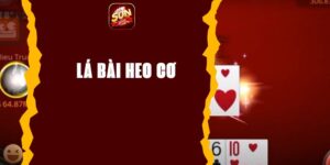 Lá bài heo cơ - Bí quyết thắng lớn tại GAME BÀI Sunwin